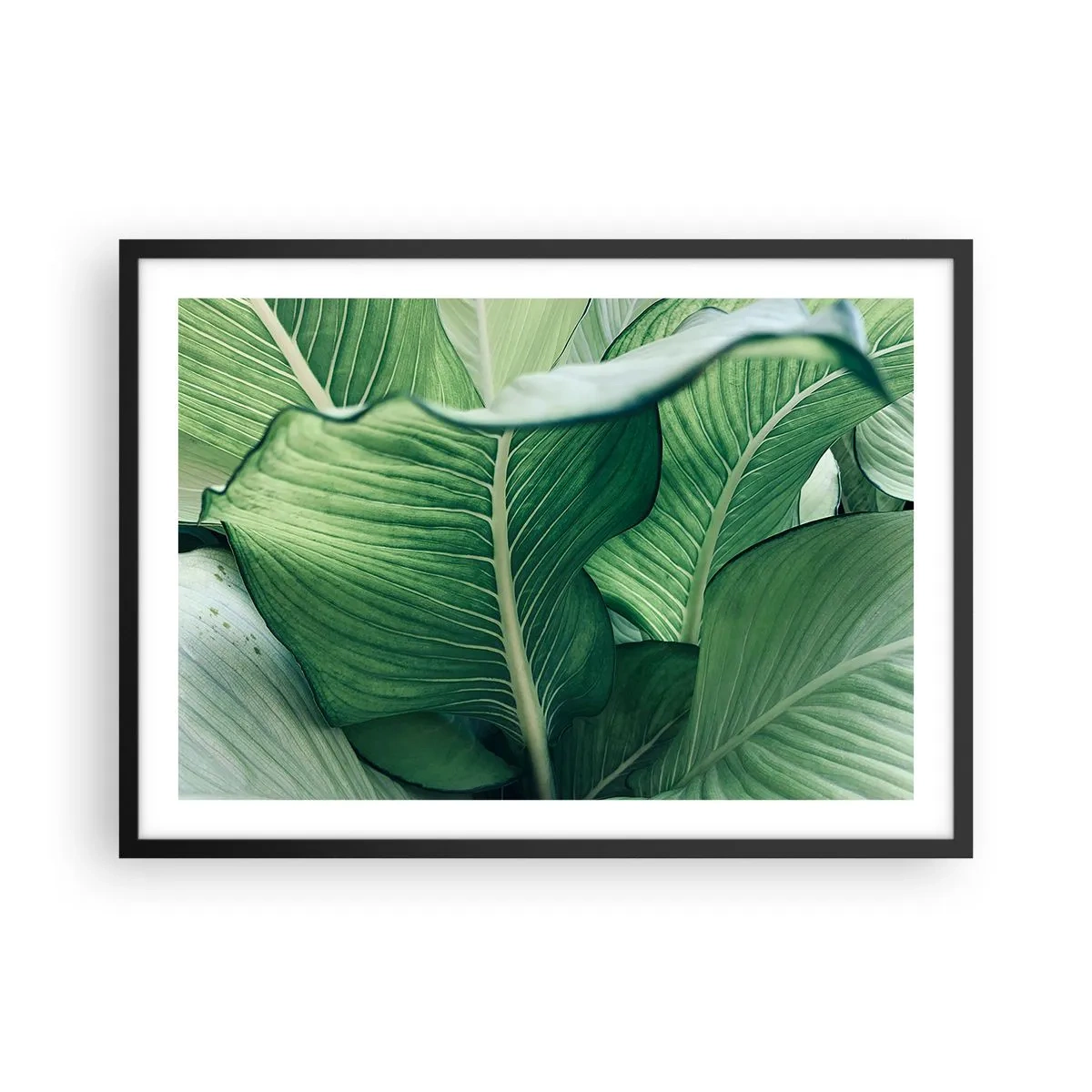 Pôster com moldura preta - Vida intensamente verde - 70x50 cm