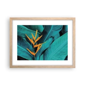 Pôster com moldura de carvalho claro - Flor do Éden - 40x30 cm