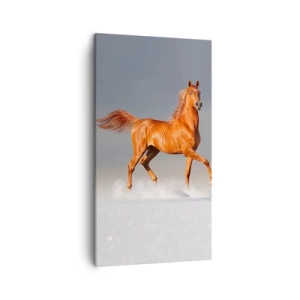 Quadro em tela - Graça Dançante - 45x80 cm