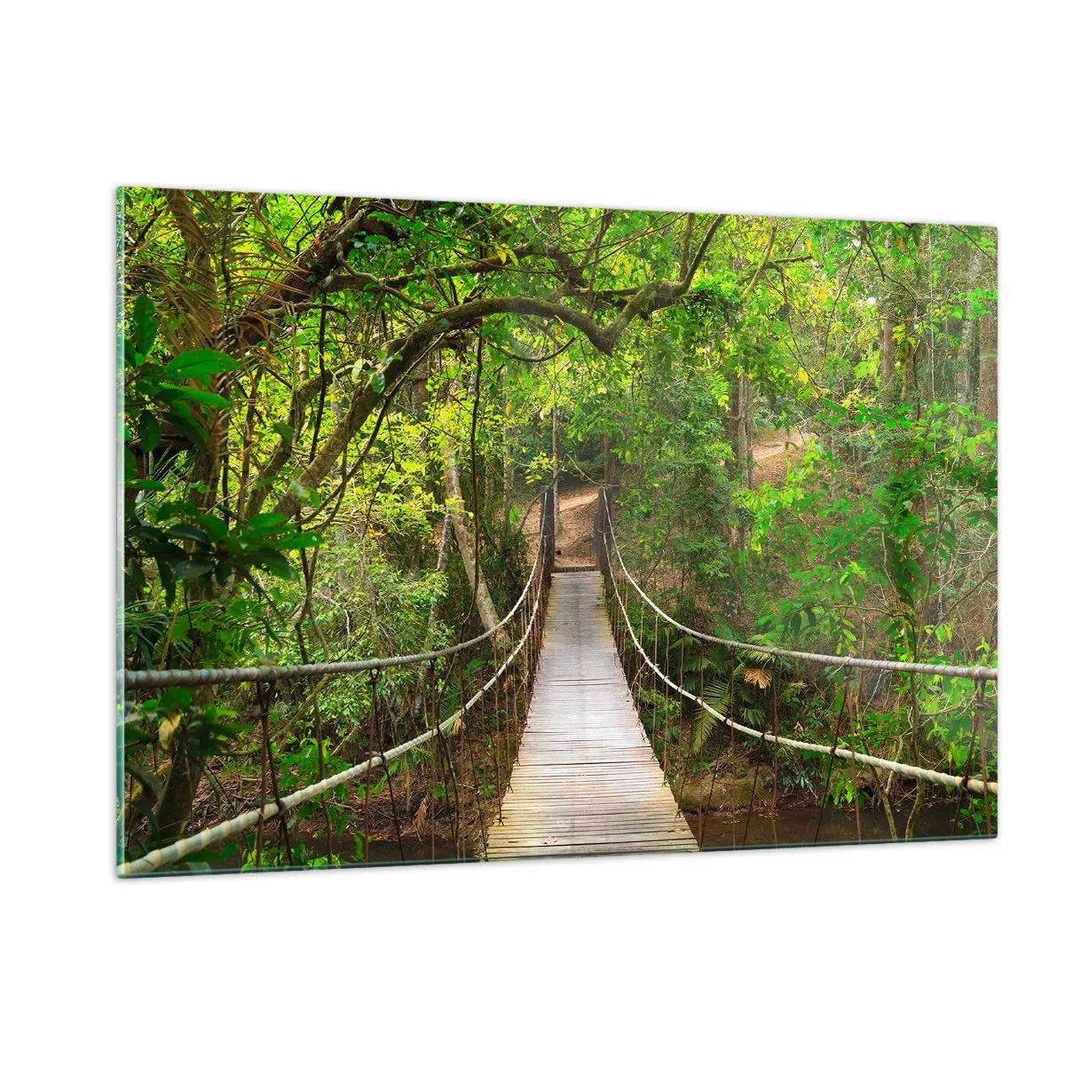 Quadro em vidro - Porque há uma videira a crescer no jardim - 120x80 cm