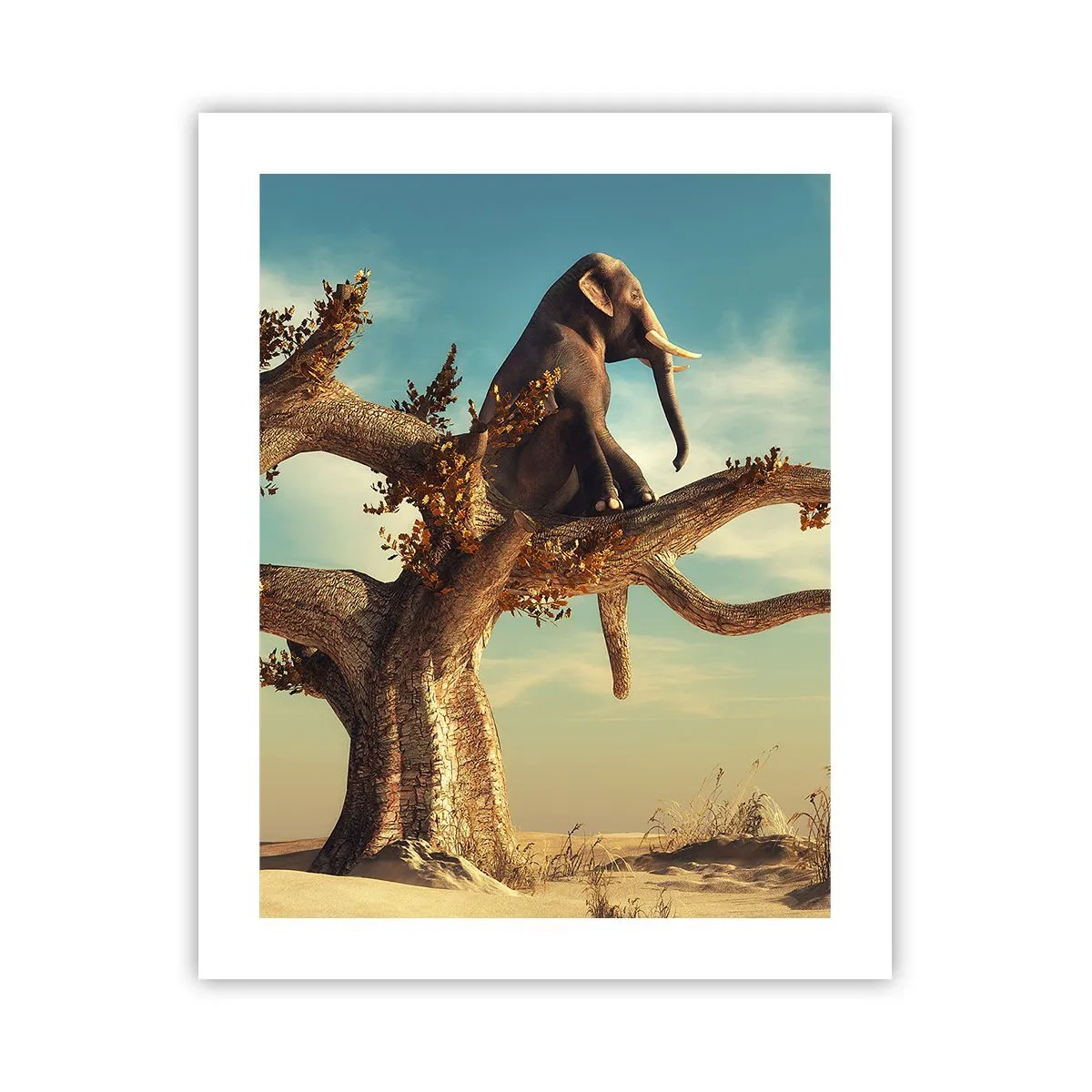 Pôster - Um novo ponto de vista - 40x50 cm