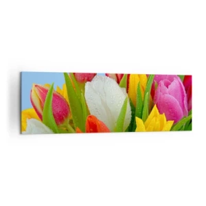 Quadro em tela - Arco-íris floral em gotas de orvalho - 160x50 cm