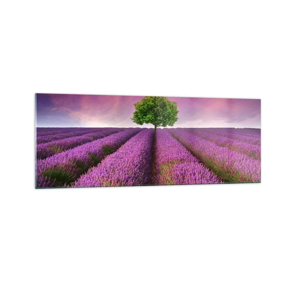 Quadro em vidro - Nos campos de lavanda - 140x50 cm