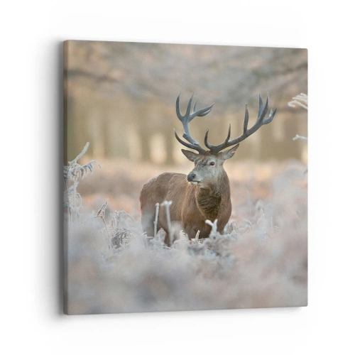 Quadro em tela - Uma manhã fresca - 40x40 cm