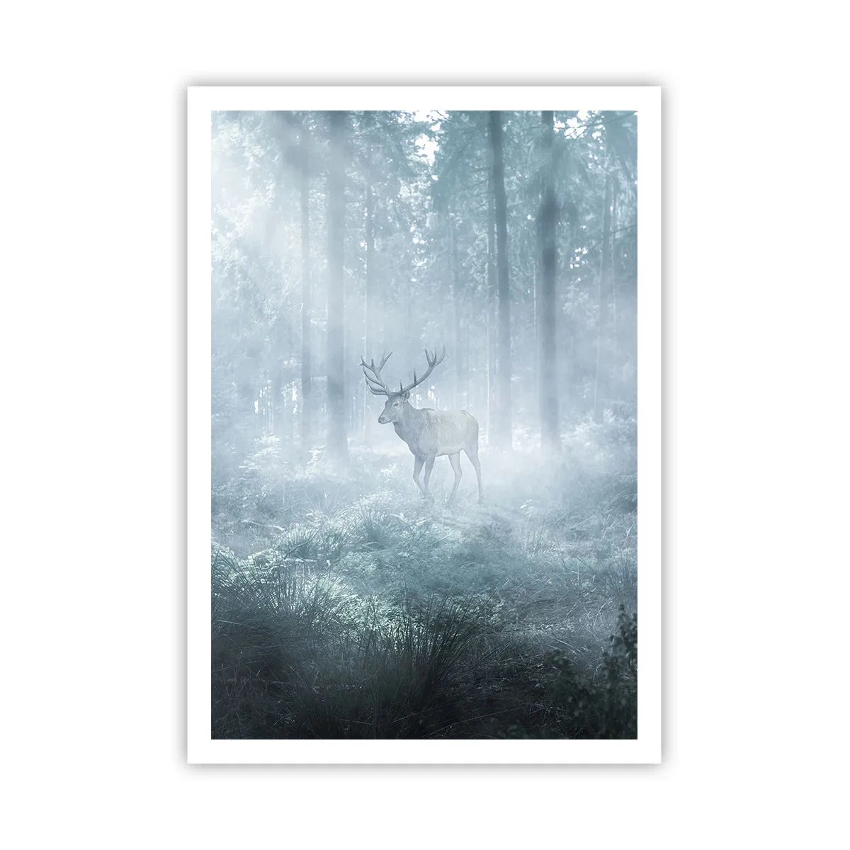 Pôster - Passeio matinal à volta da propriedade - 70x100 cm