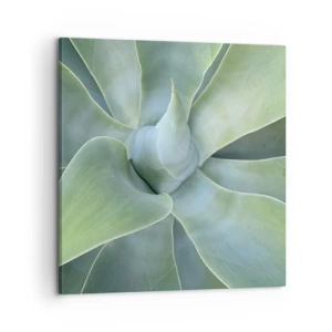 Quadro em tela - O nascimento da vegetação - 60x60 cm