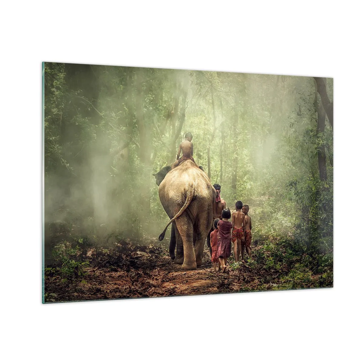 Quadro em vidro - Novo Livro da Selva - 100x70 cm