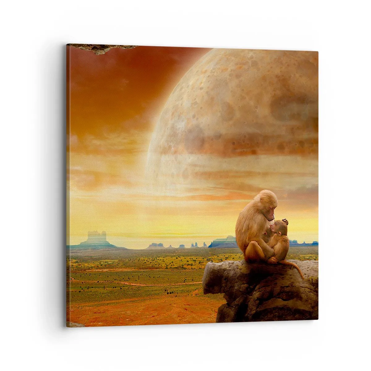 Quadro em tela - O amor é o mesmo em todos os lugares - 70x70 cm