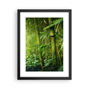 Pôster com moldura preta - Conheça a vegetação  - 30x40 cm