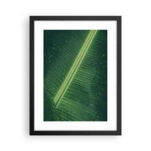 Pôster com moldura preta - A estrutura da vegetação - 30x40 cm