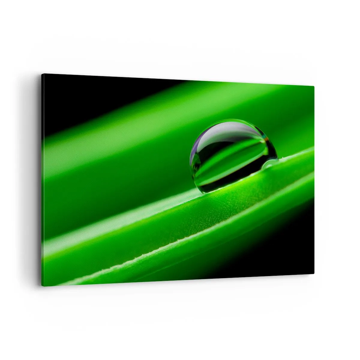 Quadro em tela - A vida de perto - 120x80 cm