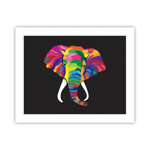 Pôster - O elefante que adorava banhar-se no arco-íris - 50x40 cm