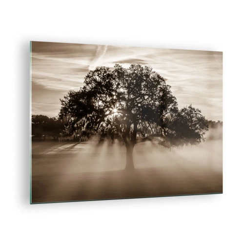 Quadro em vidro - Uma árvore na névoa da manhã com raios de sol brilhando através dos galhos - 70x50cm - Uma árvore só de boas notícias - Decoração de parede moderna para a sala de estar e quarto ARTTOR