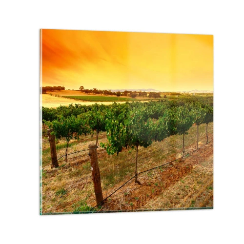 Quadro em vidro - Sede de sol - 30x30 cm