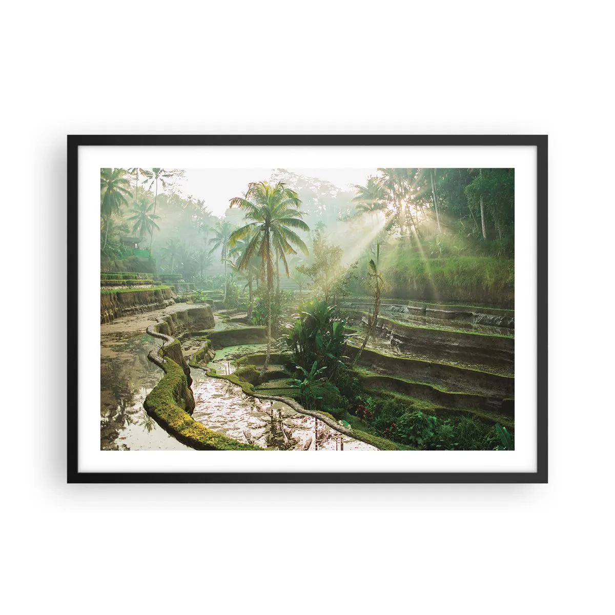 Pôster com moldura preta - Crescer ao sol - 70x50 cm