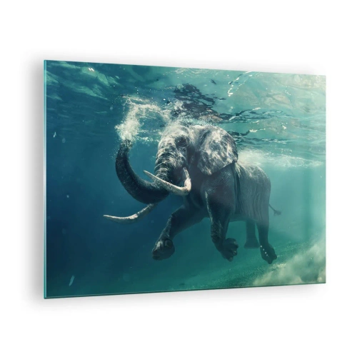 Quadro em vidro - Um elefante nadando debaixo d'água no oceano azul - 70x50cm - Todo mundo gosta de nadar - Decoração de parede moderna para a sala de estar e quarto ARTTOR