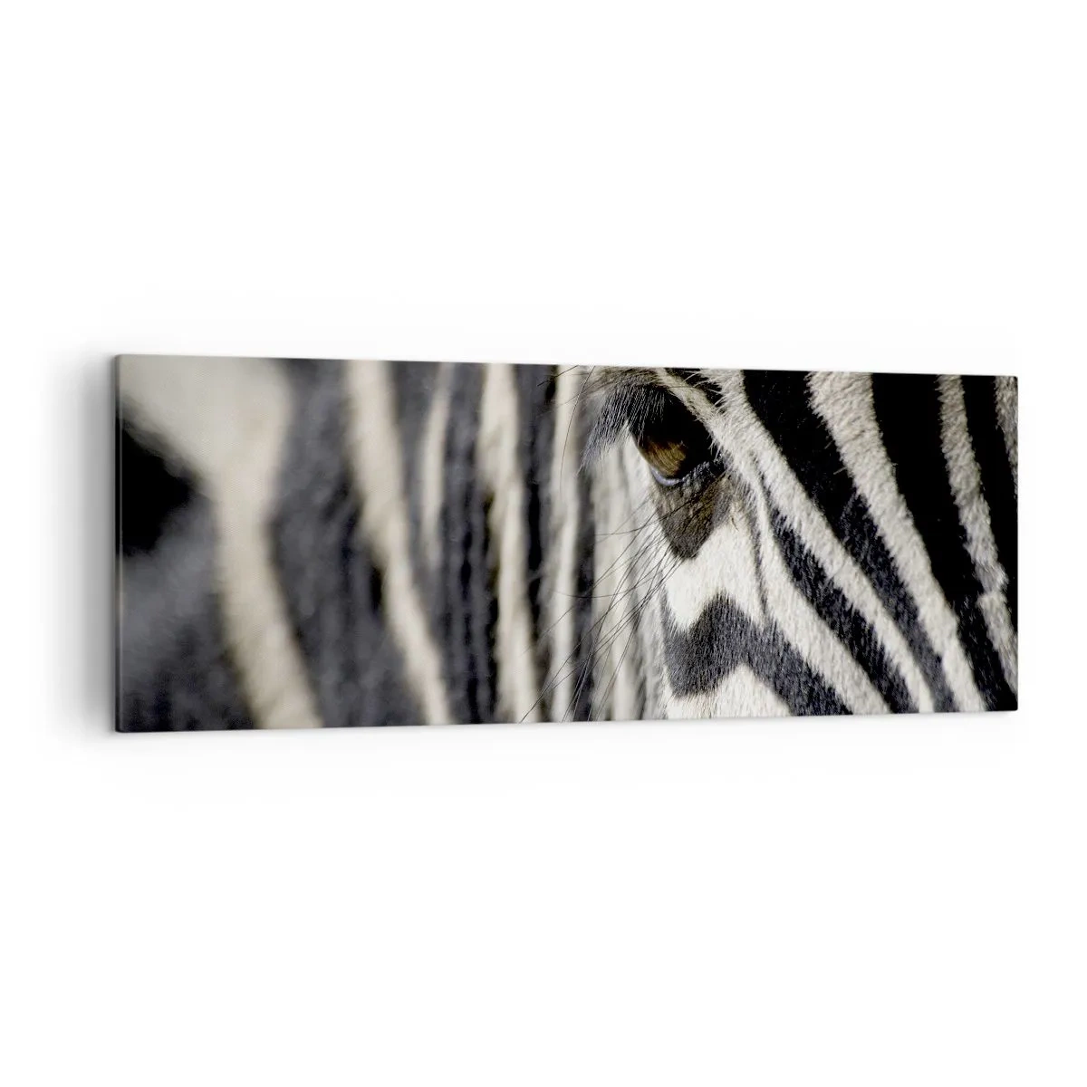 Quadro em tela - Retrato em listras - 140x50 cm