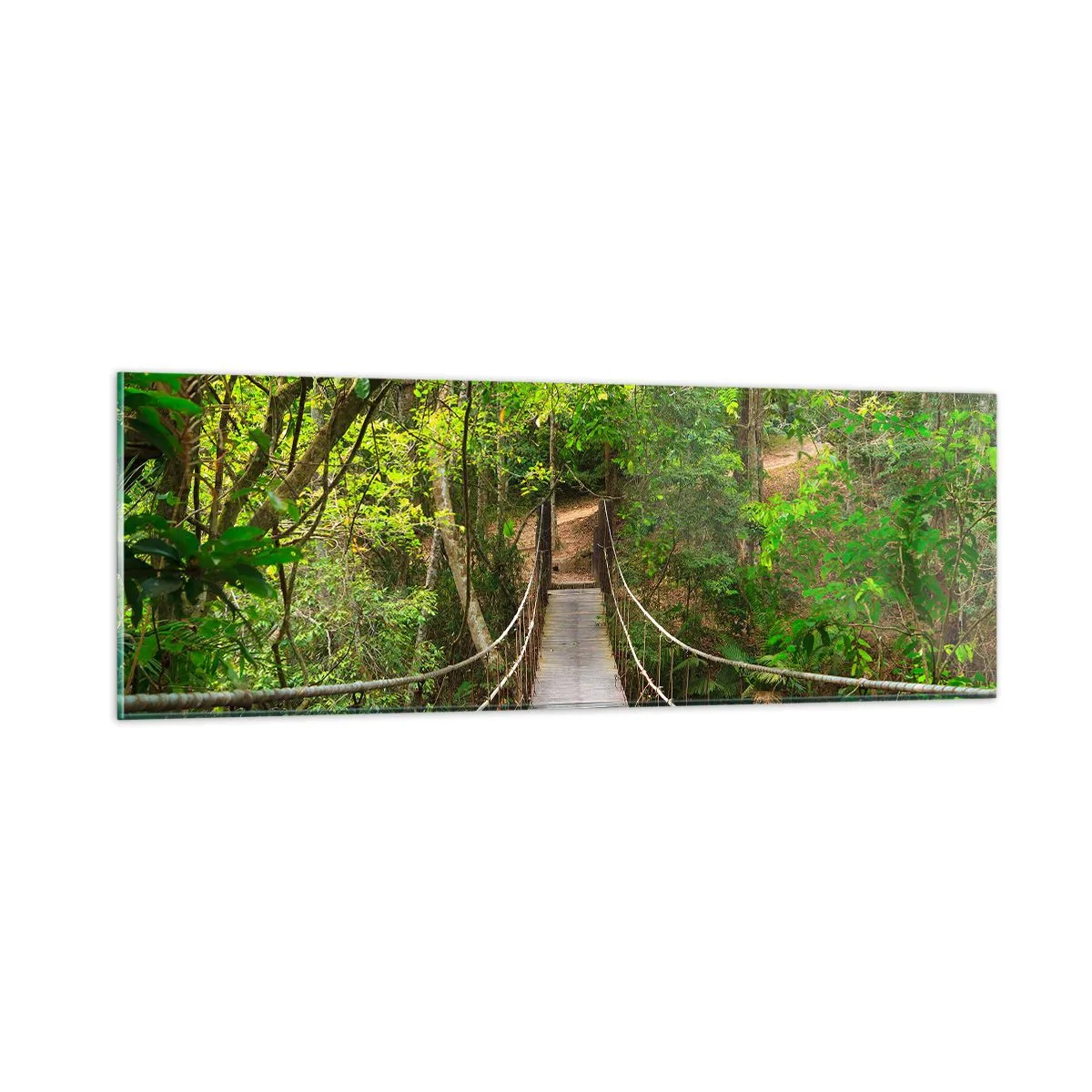 Quadro em vidro - Porque há uma videira a crescer no jardim - 90x30 cm