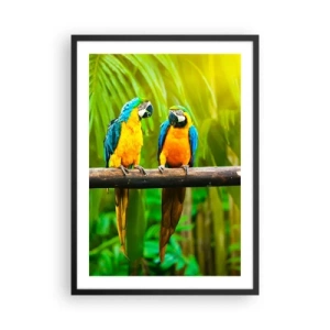 Pôster com moldura preta - Papagaios de cores vibrantes em um ambiente tropical - 50x70cm - E ouviste dizer que ela...? - Decoração de parede moderna para a sala de estar e quarto ARTTOR