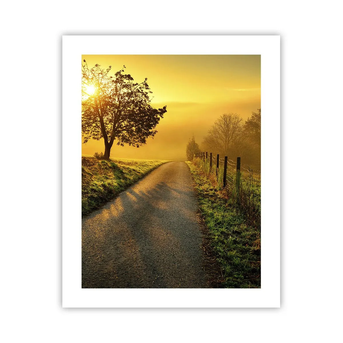 Pôster - Uma tarde agradável - 40x50 cm