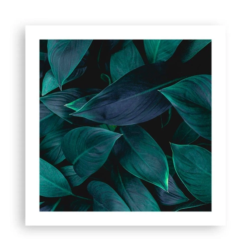 Pôster - Verde em si - 50x50 cm