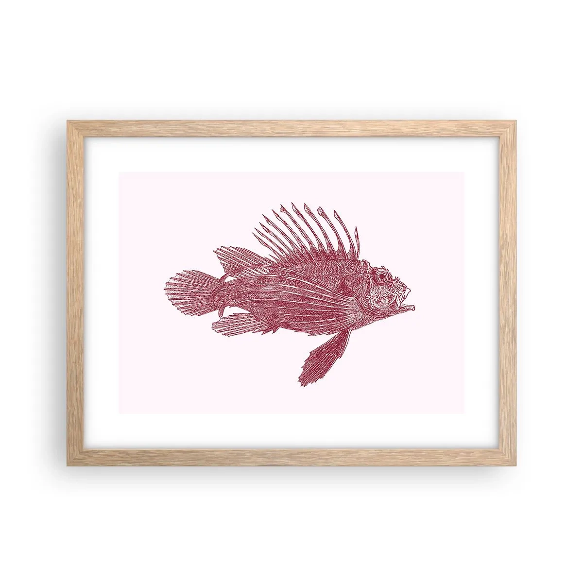 Pôster com moldura de carvalho claro - Um habitante de águas exóticas - 40x30 cm