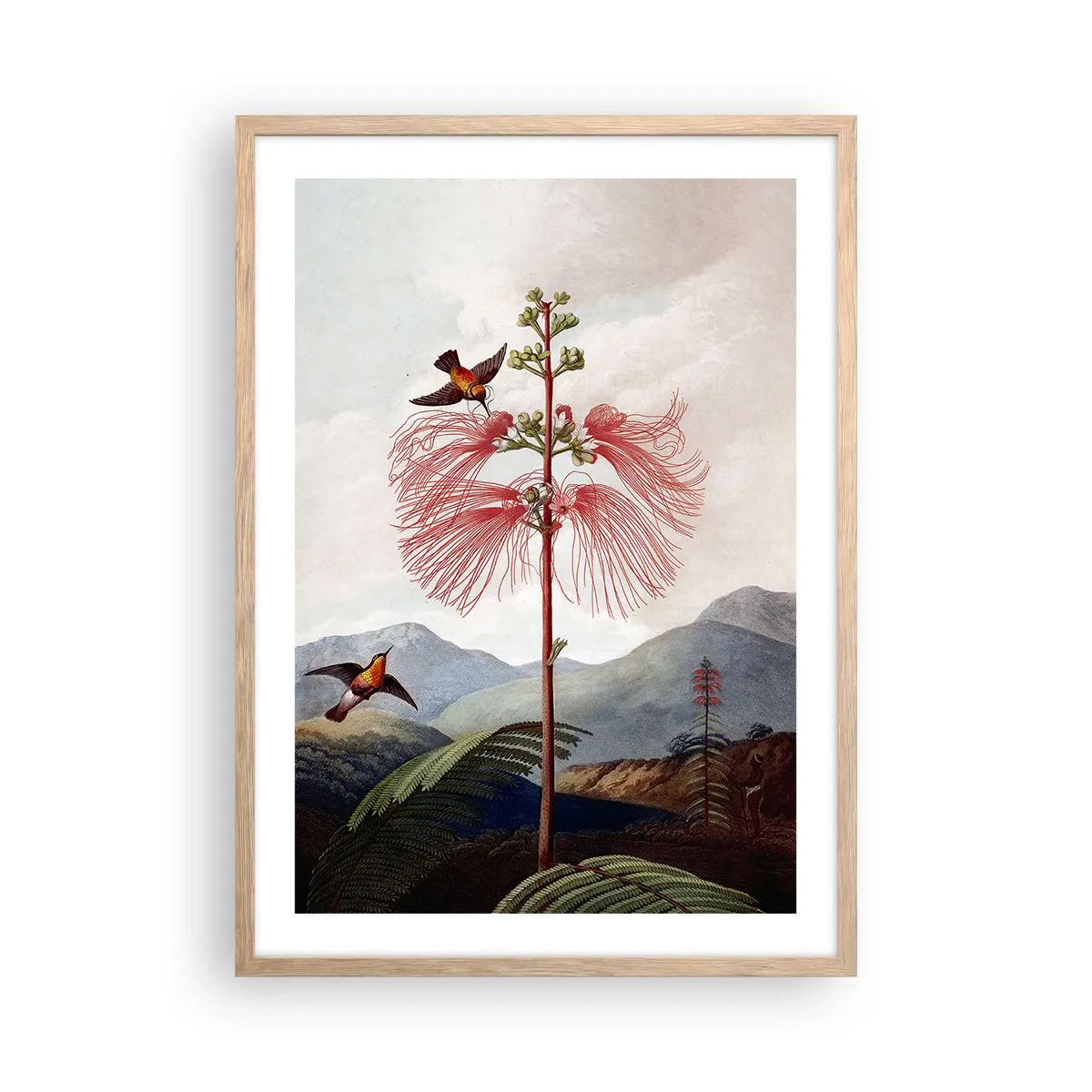 Pôster com moldura de carvalho claro - Em um paraíso tropical - 50x70 cm