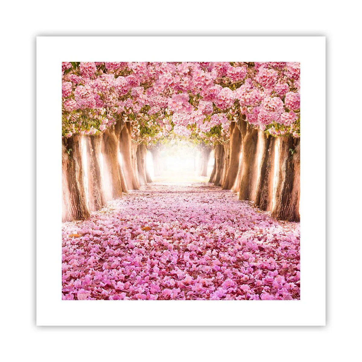 Pôster - O Caminho para o Paraíso - 40x40 cm