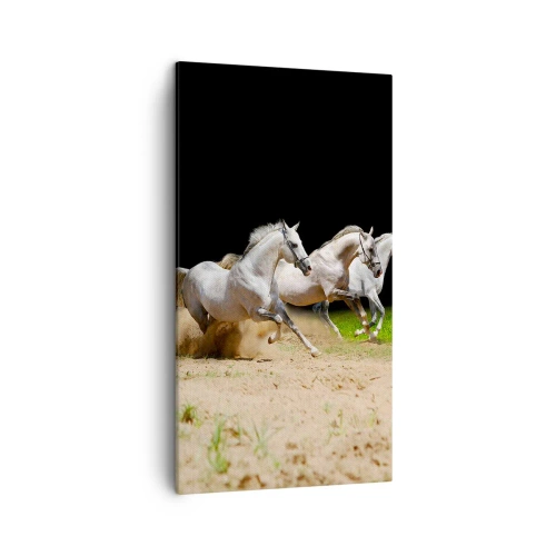 Quadro em tela - Três Graças - 45x80 cm