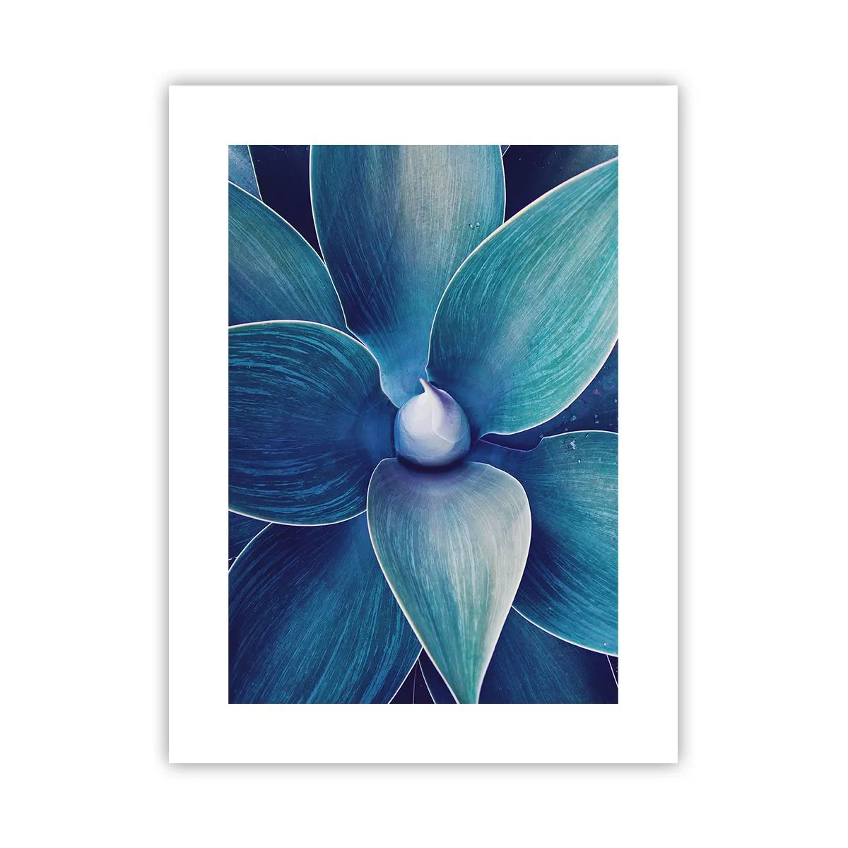 Pôster - O azul do céu - 30x40 cm