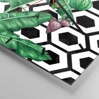 Mostrador com traços