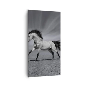 Quadro em tela - Nascido para encantar - 65x120 cm