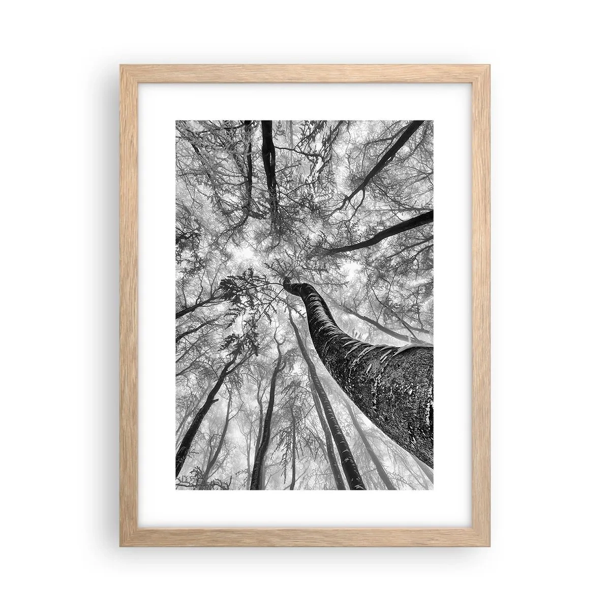 Pôster com moldura de carvalho claro - Corrida até a luz - 30x40 cm