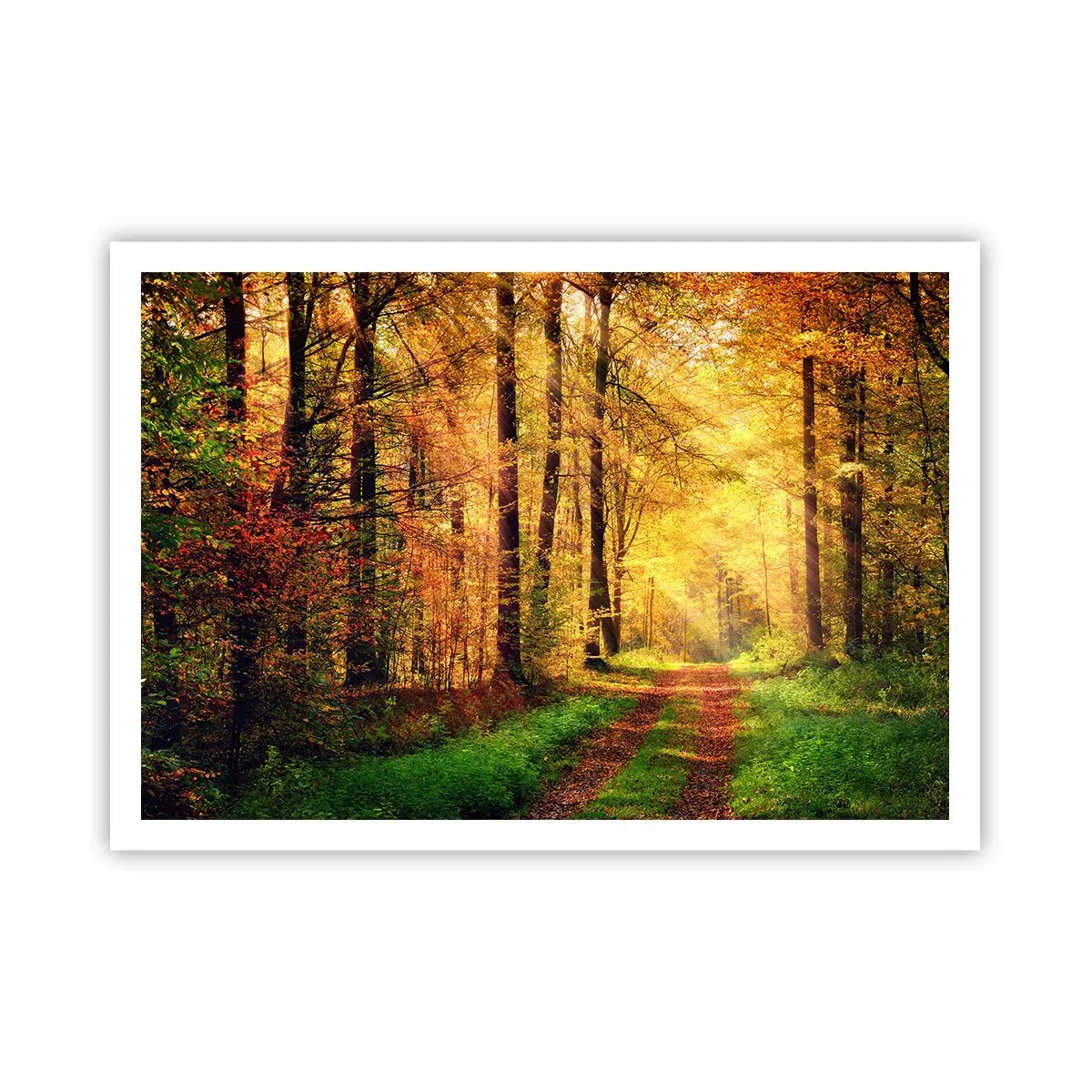 Pôster - Silêncio dourado da floresta - 100x70 cm