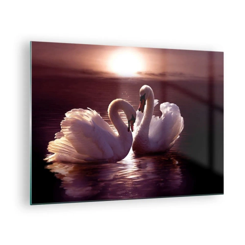 Quadro em vidro - Dois cisnes na água à luz do pôr do sol - 70x50cm - Até que a morte nos separe - Decoração de parede moderna para a sala de estar e quarto ARTTOR