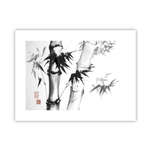 Pôster - Foco no Oriente - 40x30 cm