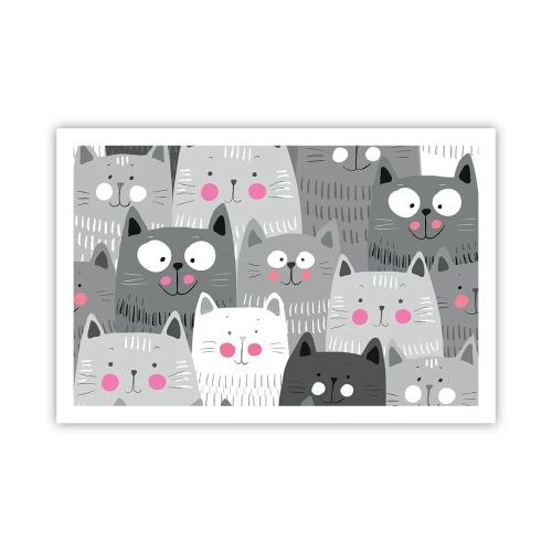 Pôster - O mundo dos gatos - 91x61 cm