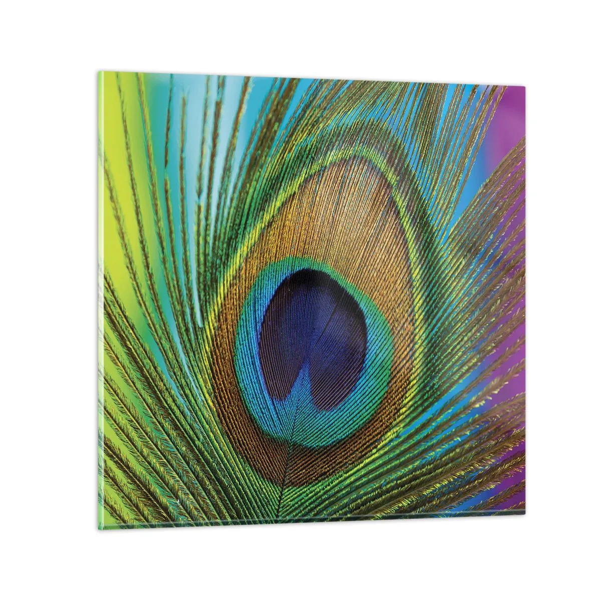 Quadro em vidro - Olho no olho - 30x30 cm