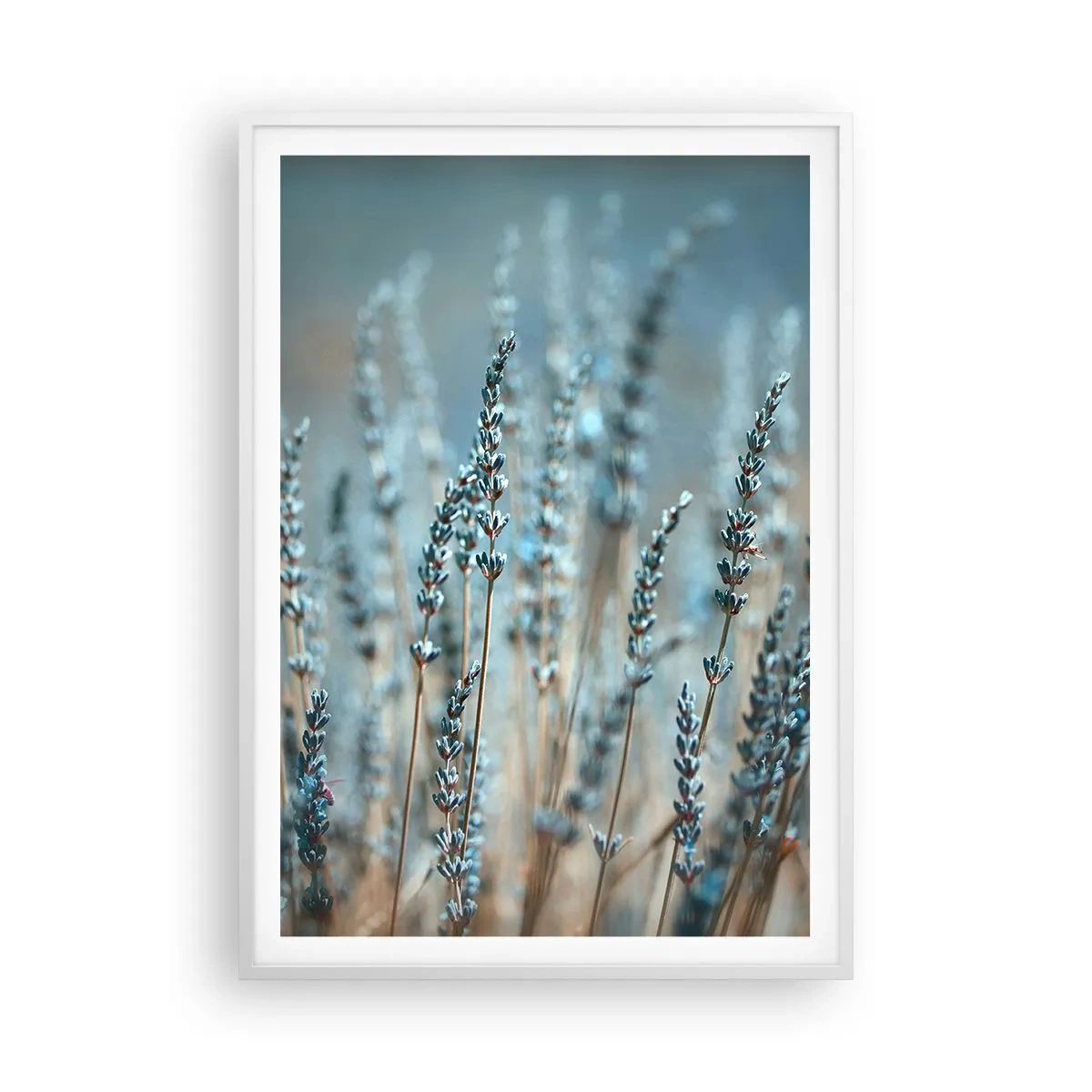 Pôster em moldura branca - Prado perfumado - 70x100 cm