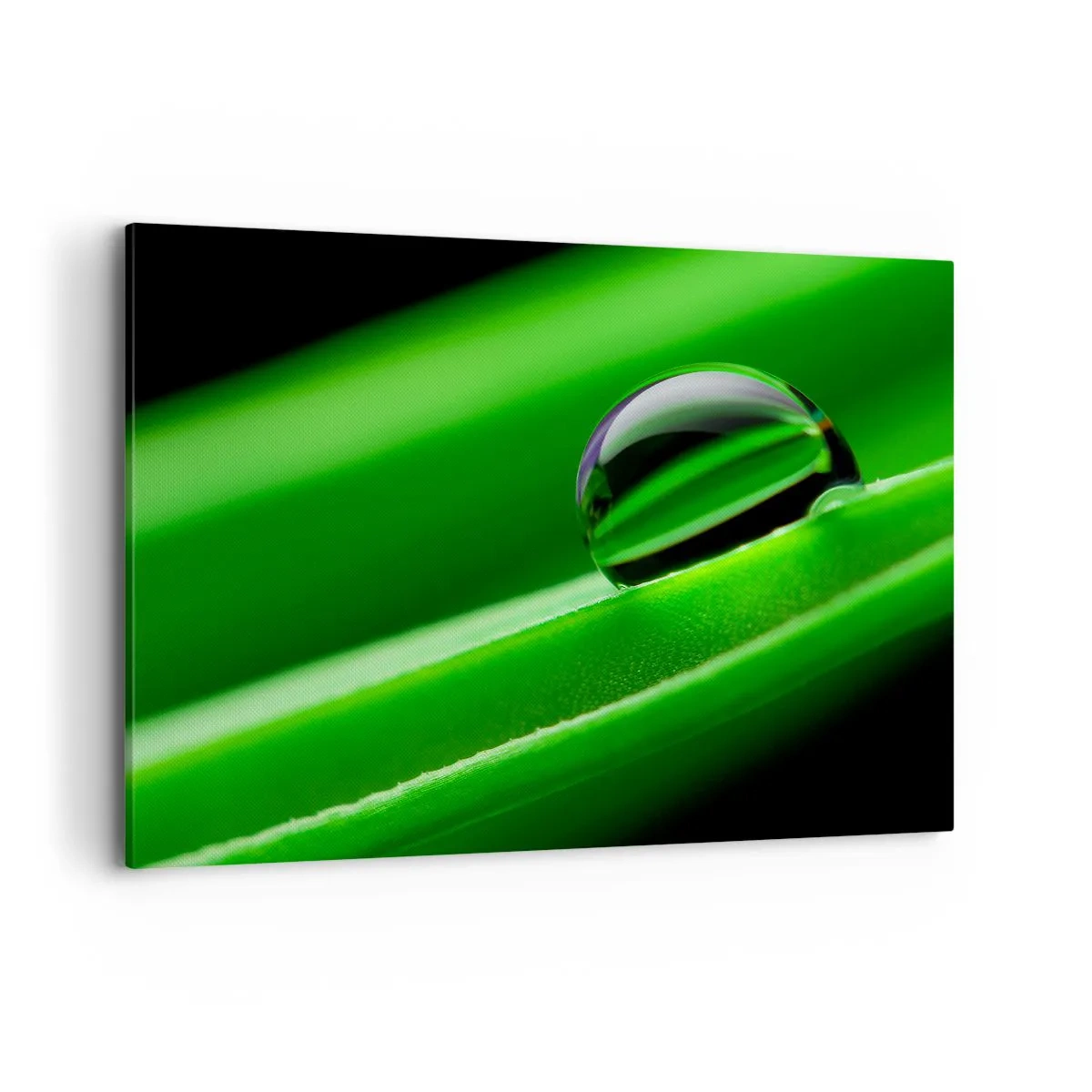 Quadro em tela - A vida de perto - 100x70 cm