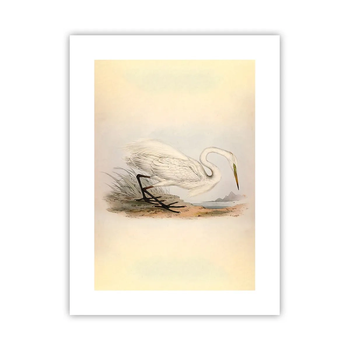 Pôster - A senhora nos juncos - 30x40 cm