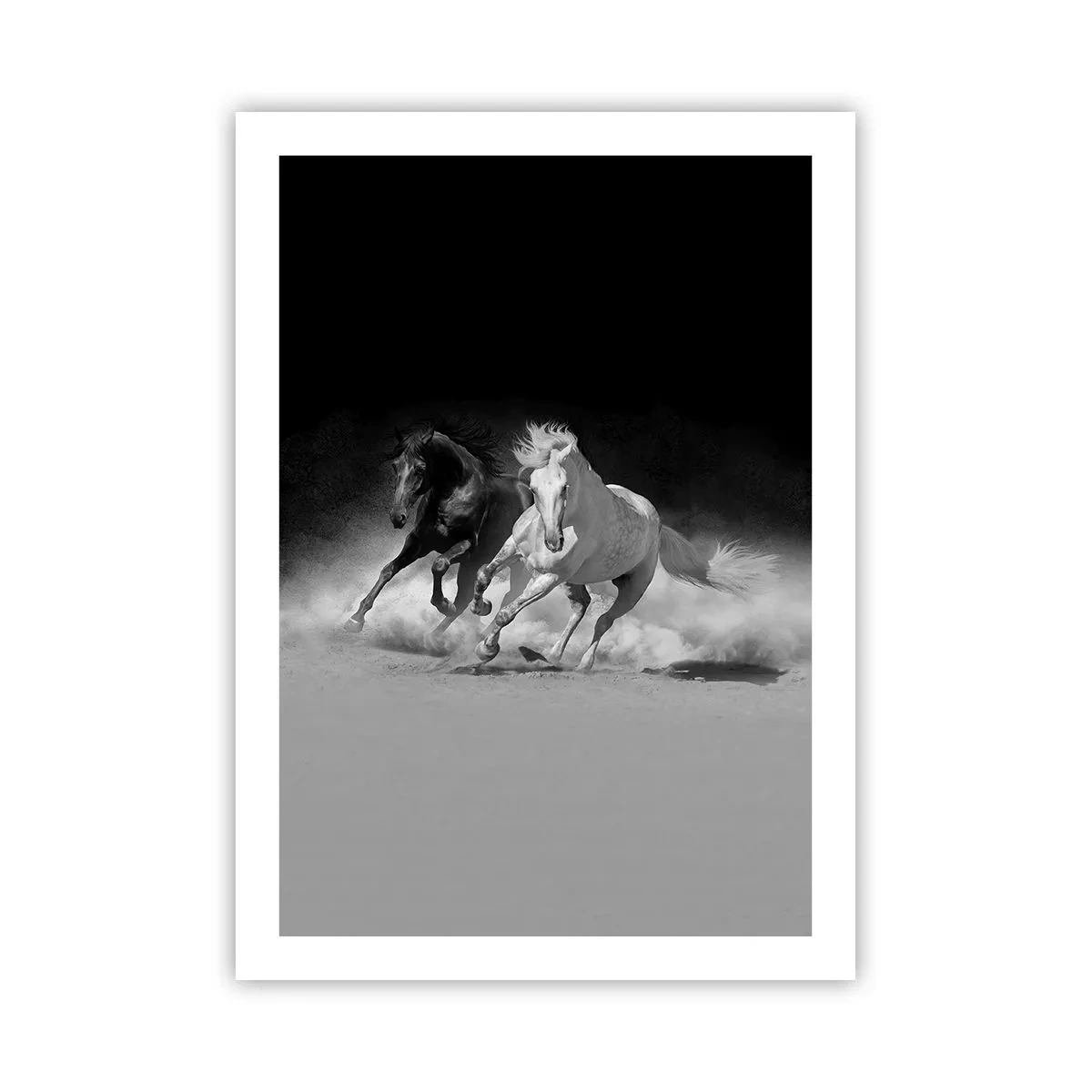 Pôster - Galope da liberdade - 50x70 cm