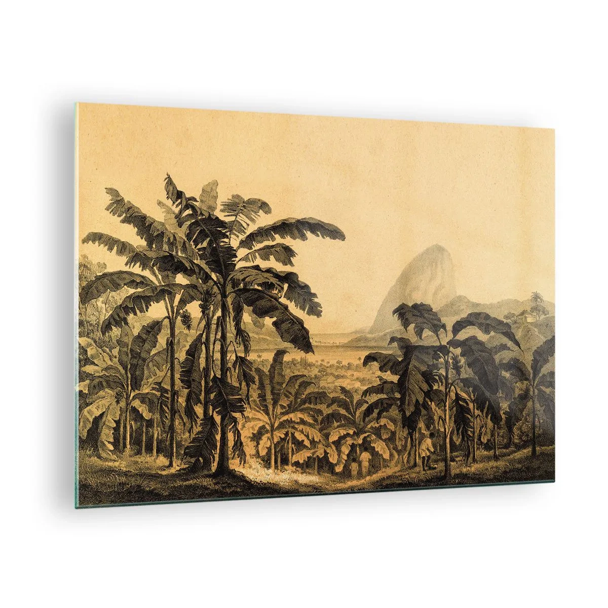 Quadro em vidro - Uma ilustração vintage de uma plantação de banana com uma montanha distante ao fundo. - 70x50cm - num clima colonial - Decoração de parede moderna para a sala de estar e quarto ARTTOR