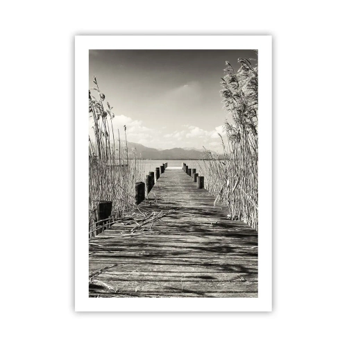 Pôster - No silêncio da relva - 50x70 cm