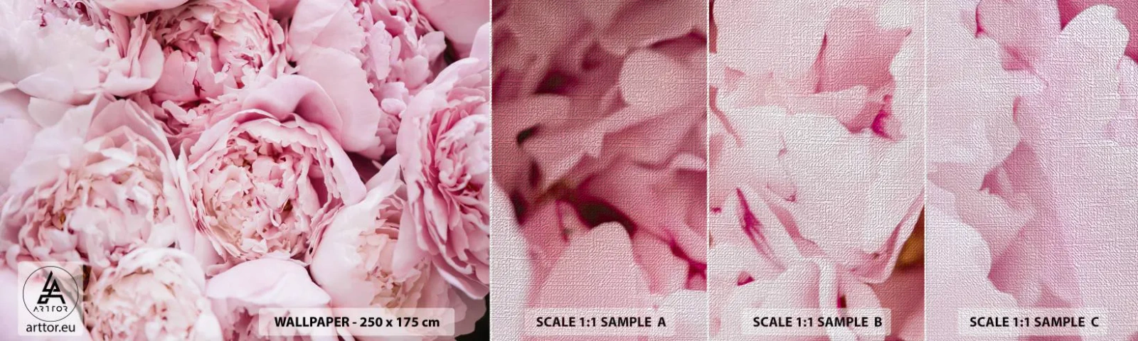 Amostra de papel de parede Premium Canvas - Aconchego e perfume - Peônia, Flores, Buquê de flores - 100x30 cm