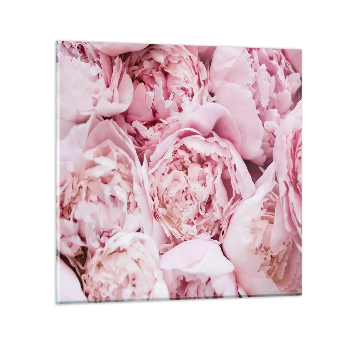 Quadro em vidro - Aconchego e perfume - 70x70 cm