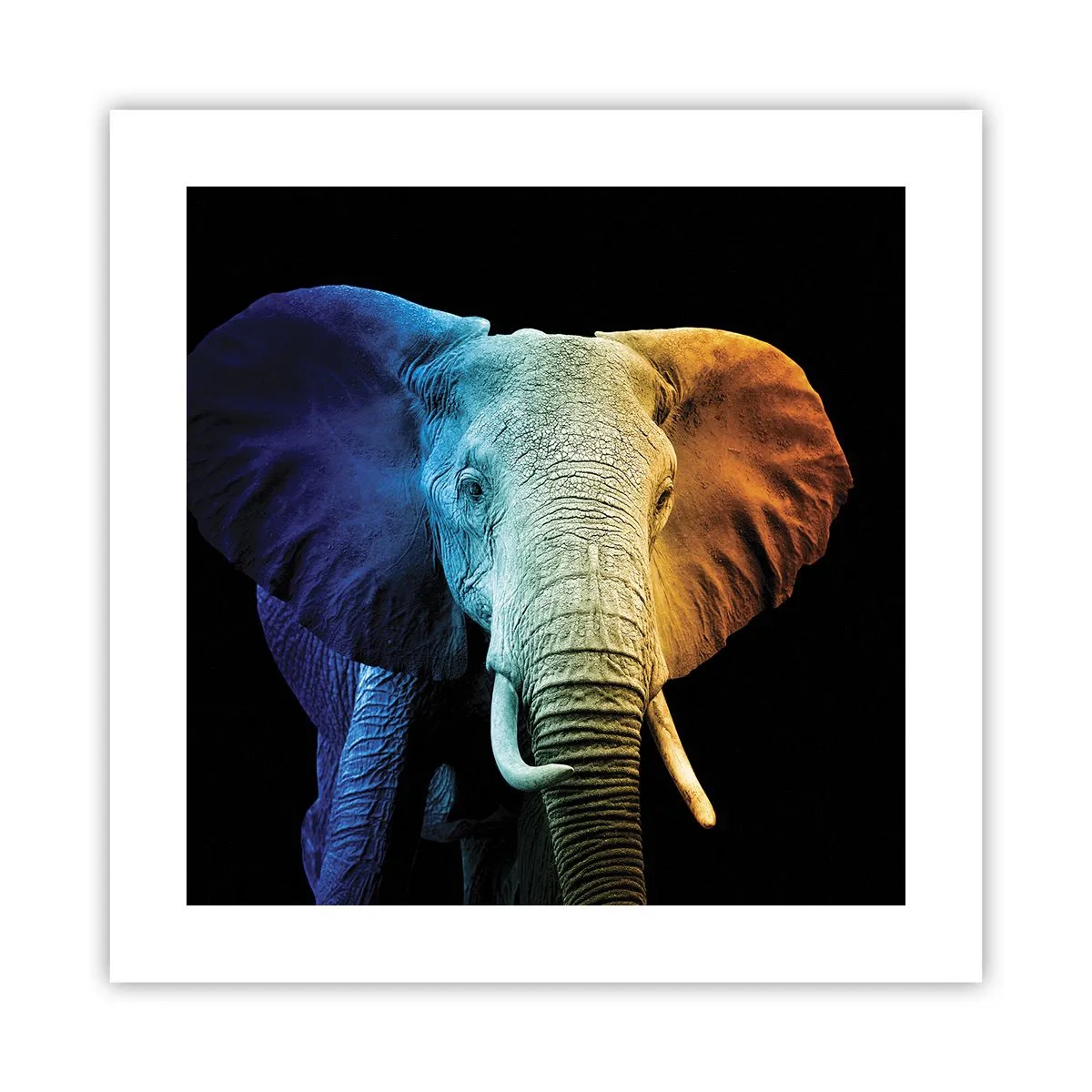 Pôster - Excêntrico, não esquisito - 40x40 cm