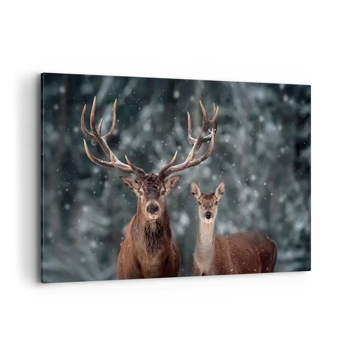 Quadro em tela - O senhor da floresta com sua esposa - 120x80 cm