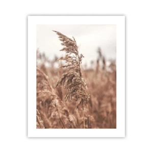 Pôster - O outono já chegou ao campo - 40x50 cm