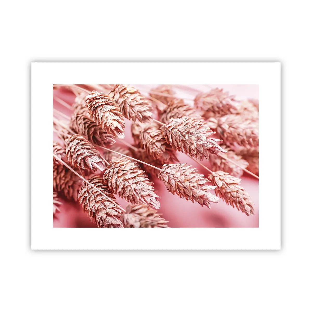 Pôster - Cascata floral em rosa - 40x30 cm
